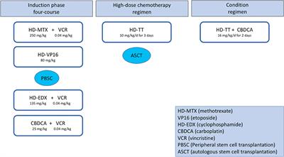 Use of High-Dose Chemotherapy in Front-Line Therapy of Infants Aged Less Than 12 Months Treated for Aggressive Brain Tumors